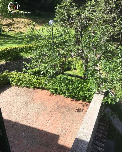 Rustico/Casale in vendita a San Godenzo - foto 10