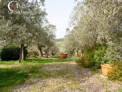Villa in vendita a Impruneta - foto 6