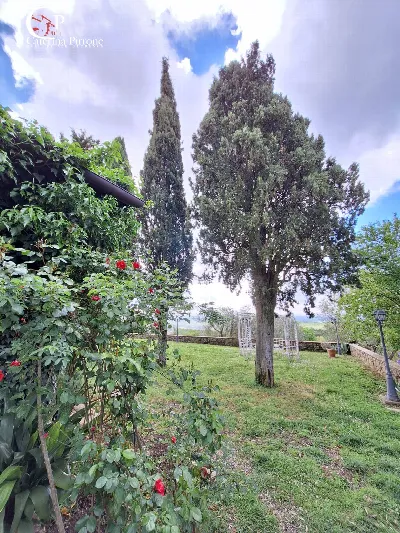 Villa in vendita a Monte San Savino - foto 4