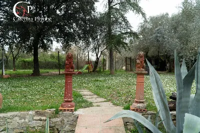 Rustico/Casale in vendita a Greve in Chian... - foto 10