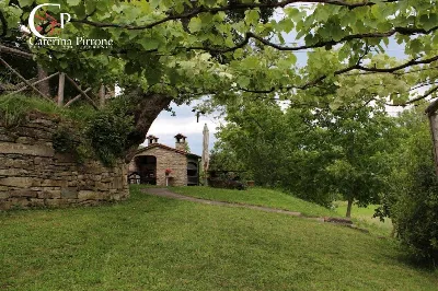Rustico/Casale in vendita a Palazzuolo sul... - foto 5