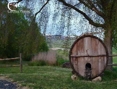 Villa in vendita a Volterra - foto 7