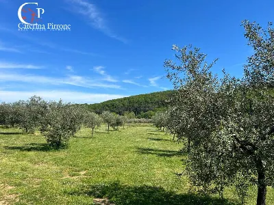 Villa in vendita a Gavorrano - foto 10