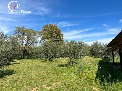 Villa in vendita a Gavorrano - foto 4