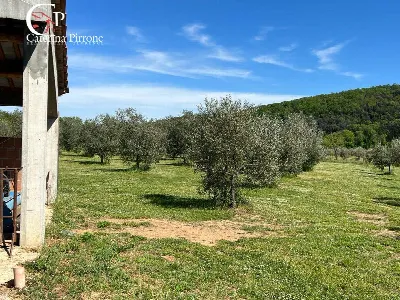 Villa in vendita a Gavorrano - foto 8