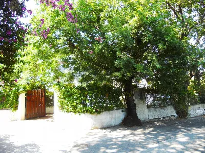 Villa in vendita a San Felice Circeo - foto 3