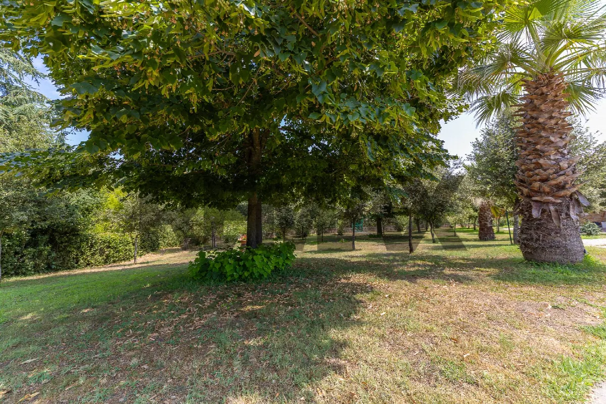 Villa in vendita a Roma, Olgiata, Giustiniana - foto 4