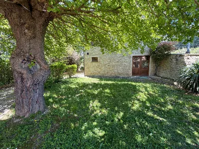 Rustico/Casale in vendita a Serra San Quir... - foto 10