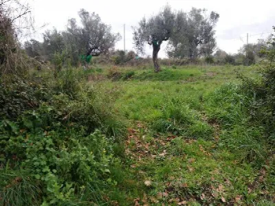 Rustico/Casale in vendita a Agropoli - foto 3