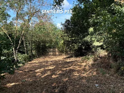 Rustico/Casale in vendita a Roccastrada - foto 2