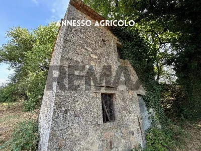 Rustico/Casale in vendita a Roccastrada - foto 4