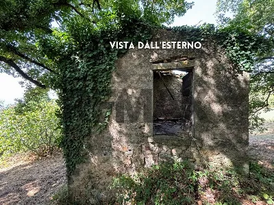 Rustico/Casale in vendita a Roccastrada - foto 5