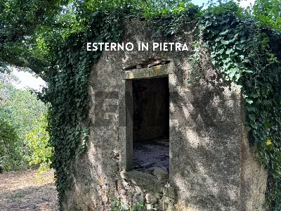 Rustico/Casale in vendita a Roccastrada - foto 6