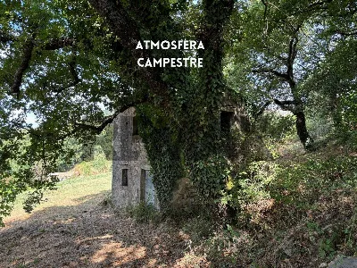 Rustico/Casale in vendita a Roccastrada - foto 7