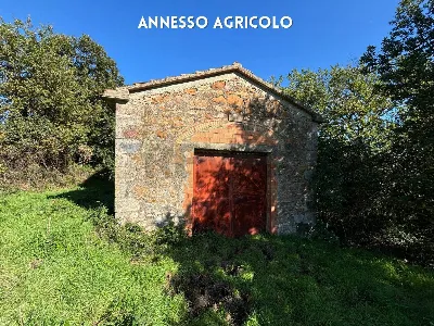 Rustico/Casale in vendita a Roccastrada - foto 2