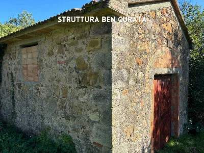 Rustico/Casale in vendita a Roccastrada - foto 5