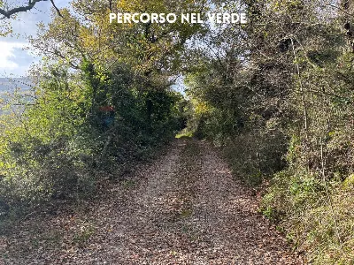 Rustico/Casale in vendita a Roccastrada - foto 5