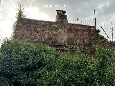 Rustico/Casale in vendita a Roccastrada - foto 7
