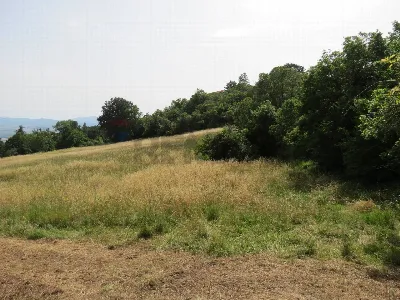 Rustico/Casale in vendita a Roccastrada - foto 3