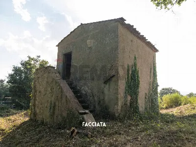 Rustico/Casale in vendita a Roccastrada - foto 1