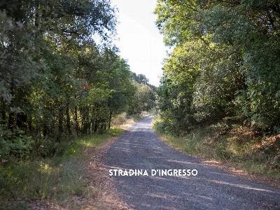 Rustico/Casale in vendita a Roccastrada - foto 4