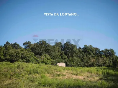 Rustico/Casale in vendita a Roccastrada - foto 5