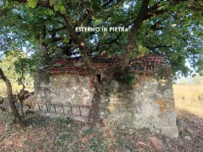 Rustico/Casale in vendita a Roccastrada - foto 10