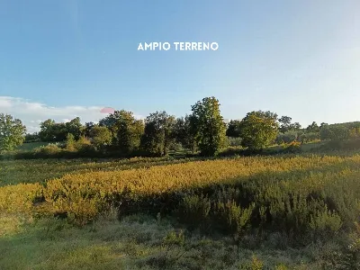 Rustico/Casale in vendita a Roccastrada - foto 2