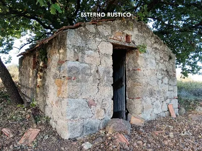 Rustico/Casale in vendita a Roccastrada - foto 4