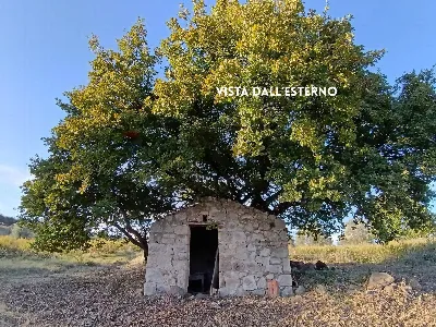 Rustico/Casale in vendita a Roccastrada - foto 9