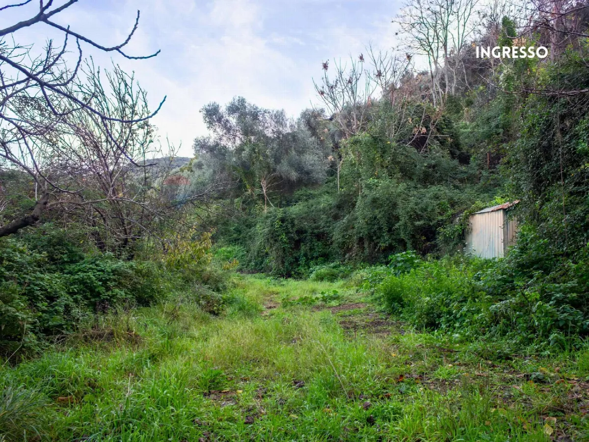 Rustico/Casale in vendita a Scarlino - foto 3