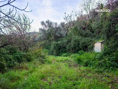 Rustico/Casale in vendita a Scarlino - foto 3