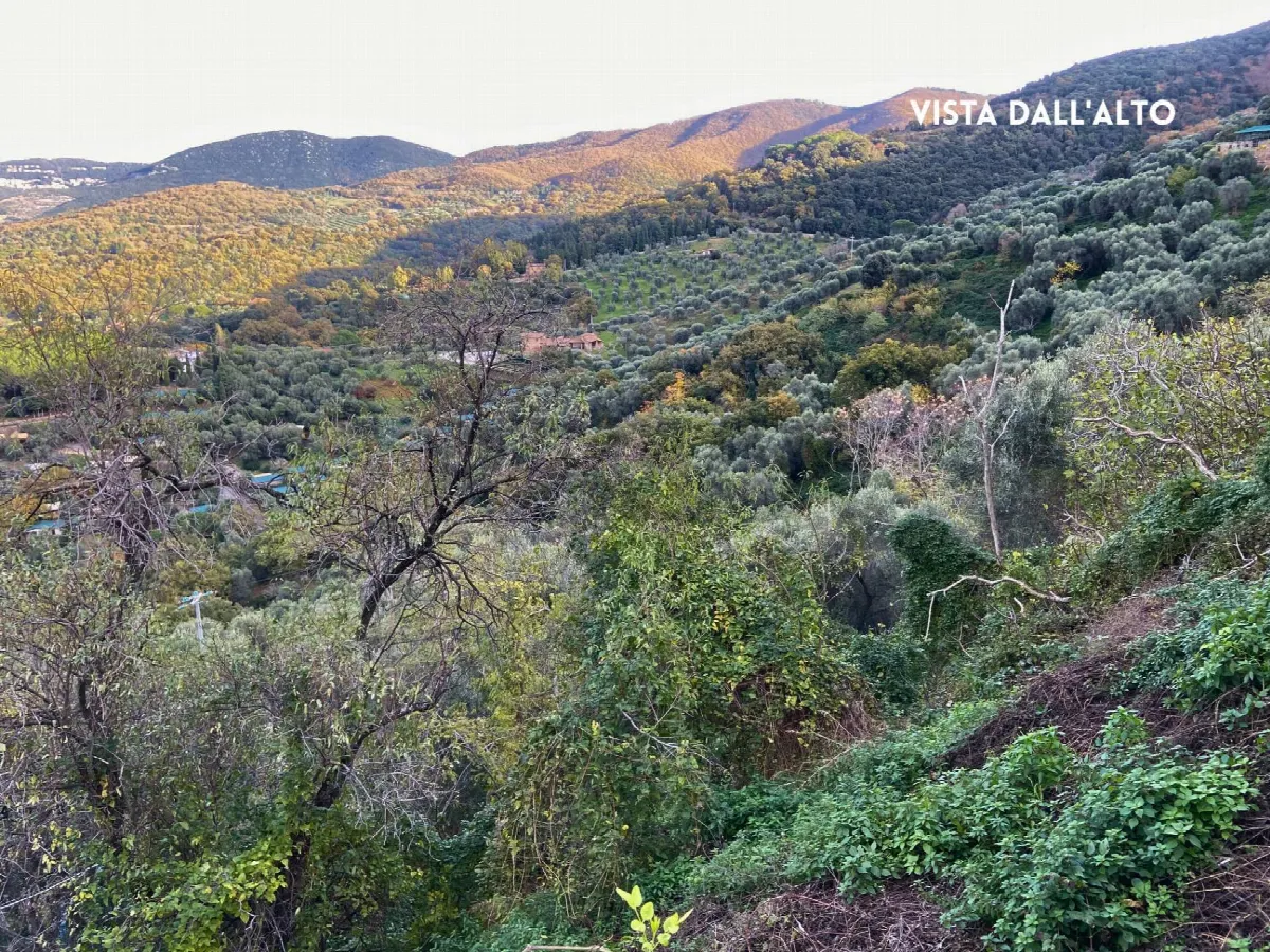 Rustico/Casale in vendita a Scarlino - foto 4