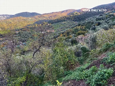 Rustico/Casale in vendita a Scarlino - foto 4