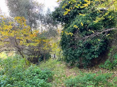 Rustico/Casale in vendita a Scarlino - foto 6