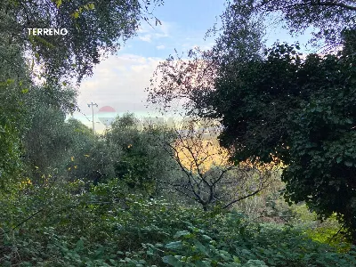 Rustico/Casale in vendita a Scarlino - foto 7