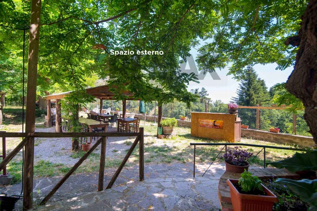Rustico/Casale in vendita a Montieri - foto 3