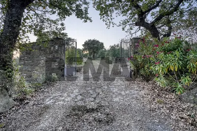 Villa in vendita a Scarlino - foto 5