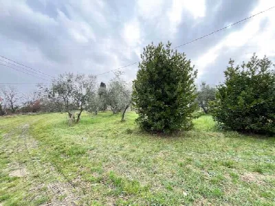 Rustico/Casale in vendita a Fano - foto 8