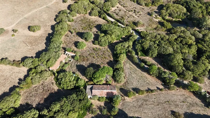 Rustico/Casale in vendita a Luogosanto - foto 1