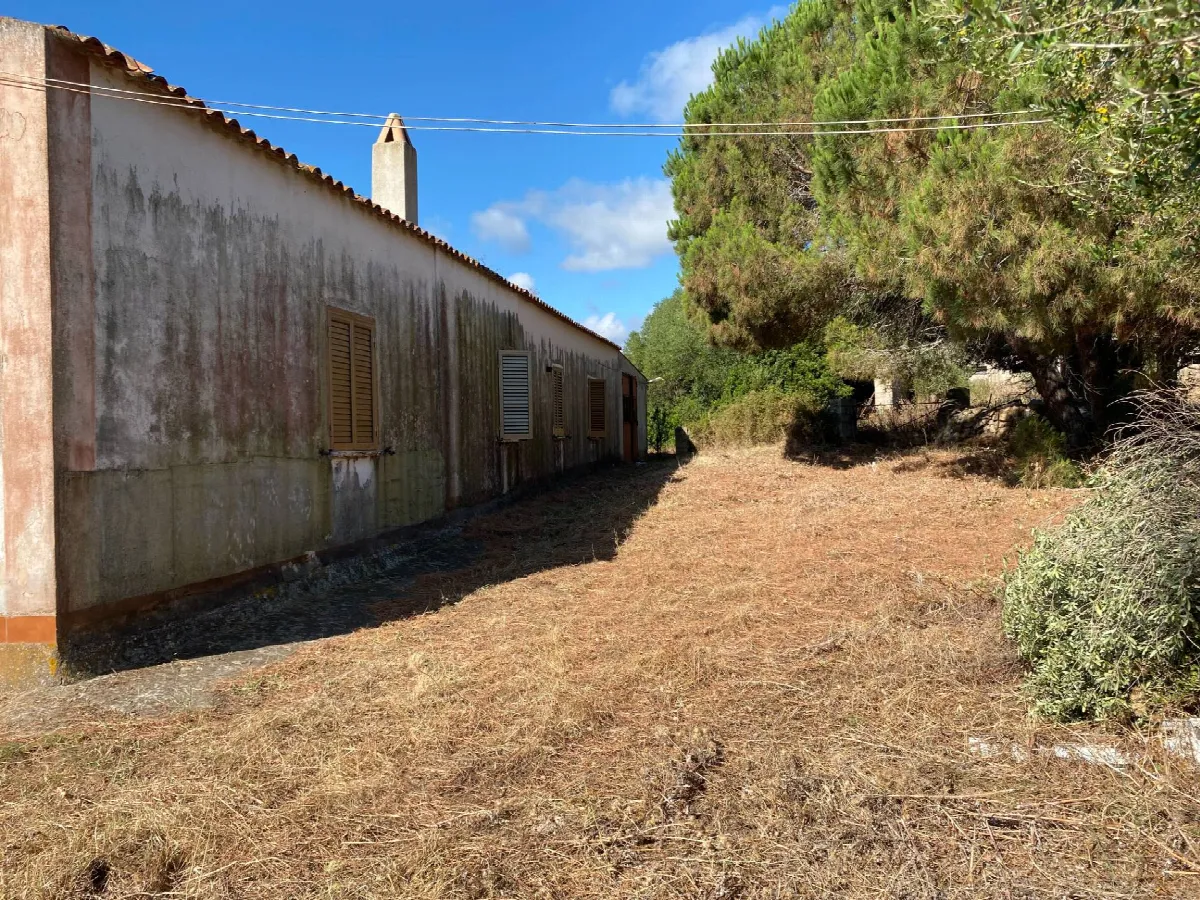 Rustico/Casale in vendita a Luogosanto - foto 4