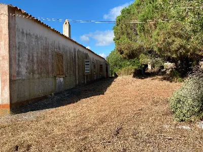 Rustico/Casale in vendita a Luogosanto - foto 4