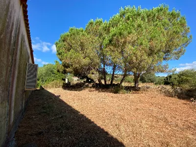 Rustico/Casale in vendita a Luogosanto - foto 7