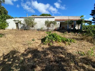 Rustico/Casale in vendita a Luogosanto - foto 8
