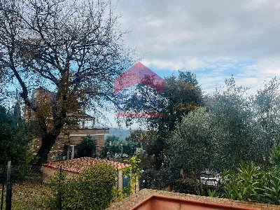 Villa in vendita a Capena - foto 2