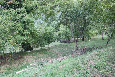Villa in vendita a Castel San Niccolò - foto 4