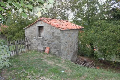 Villa in vendita a Castel San Niccolò - foto 6