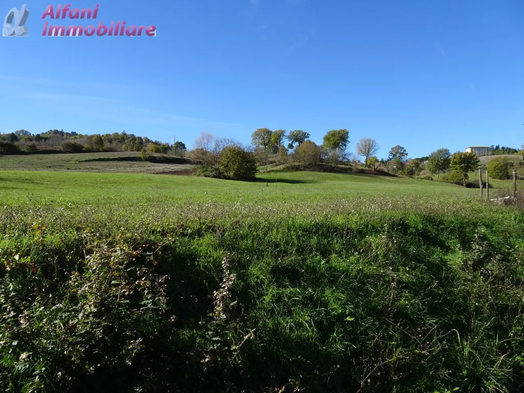 Rustico/Casale in vendita a Poppi - foto 4