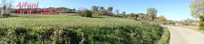 Rustico/Casale in vendita a Poppi - foto 6