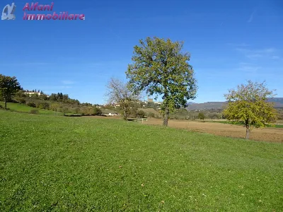 Rustico/Casale in vendita a Poppi - foto 8